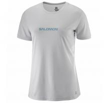 T-Shirts - Short Sleeve SALOMON Comet Classic Tee W lunar rock