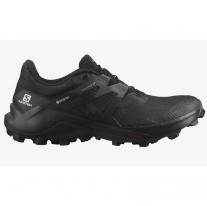 Outdoor shoes shoes SALOMON Wildcross 2 W GTX black/ebony